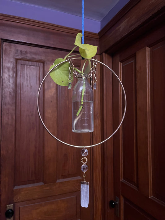 Hanging Propagation station — selenite crystal